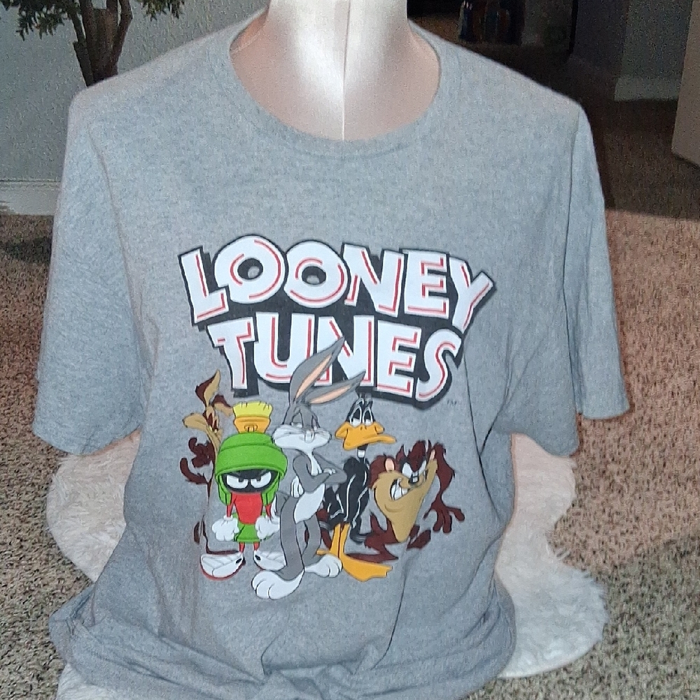 Warner Bros. Gray Short Sleeve Tee
